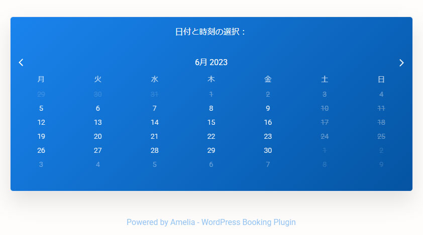 Amelia – Booking viewのデザイン